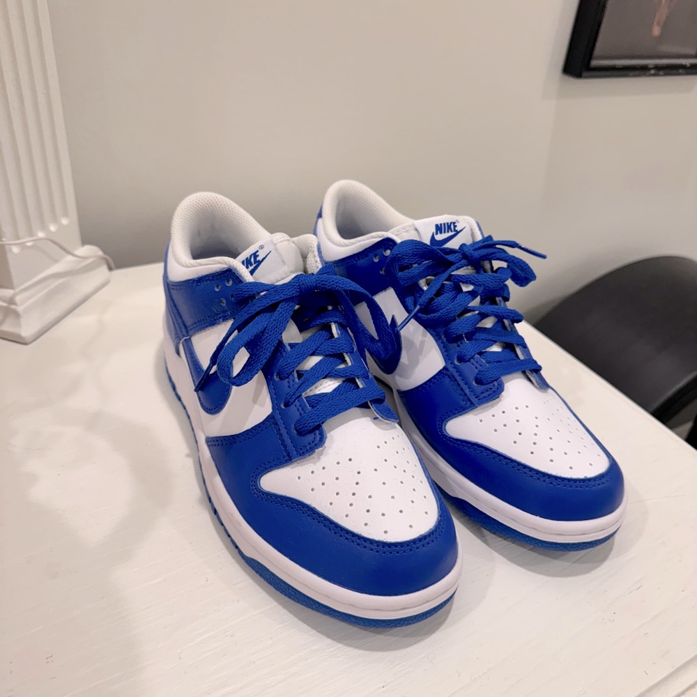 Nike Dunks boys 7